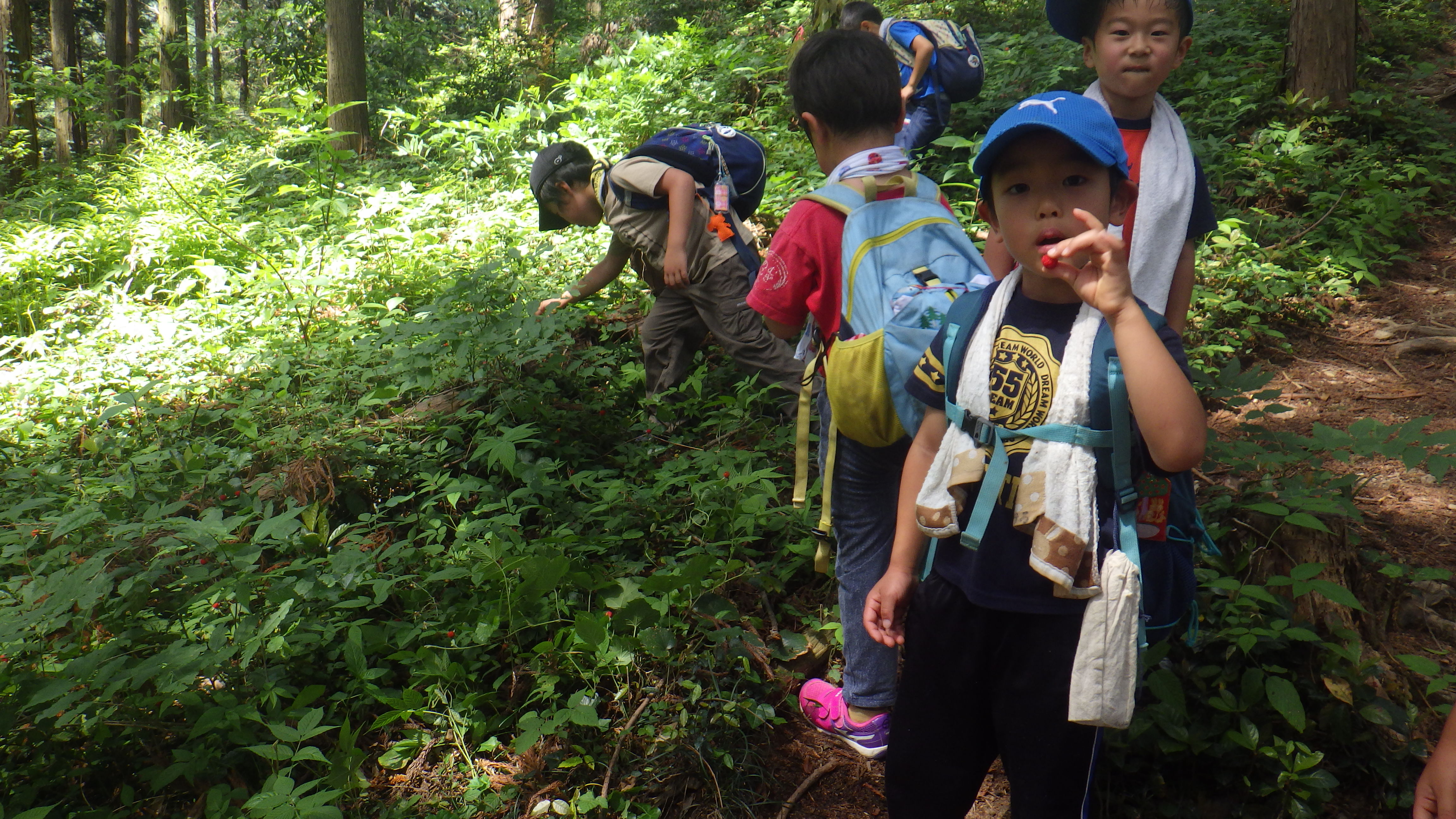 登山の様子　５.JPG