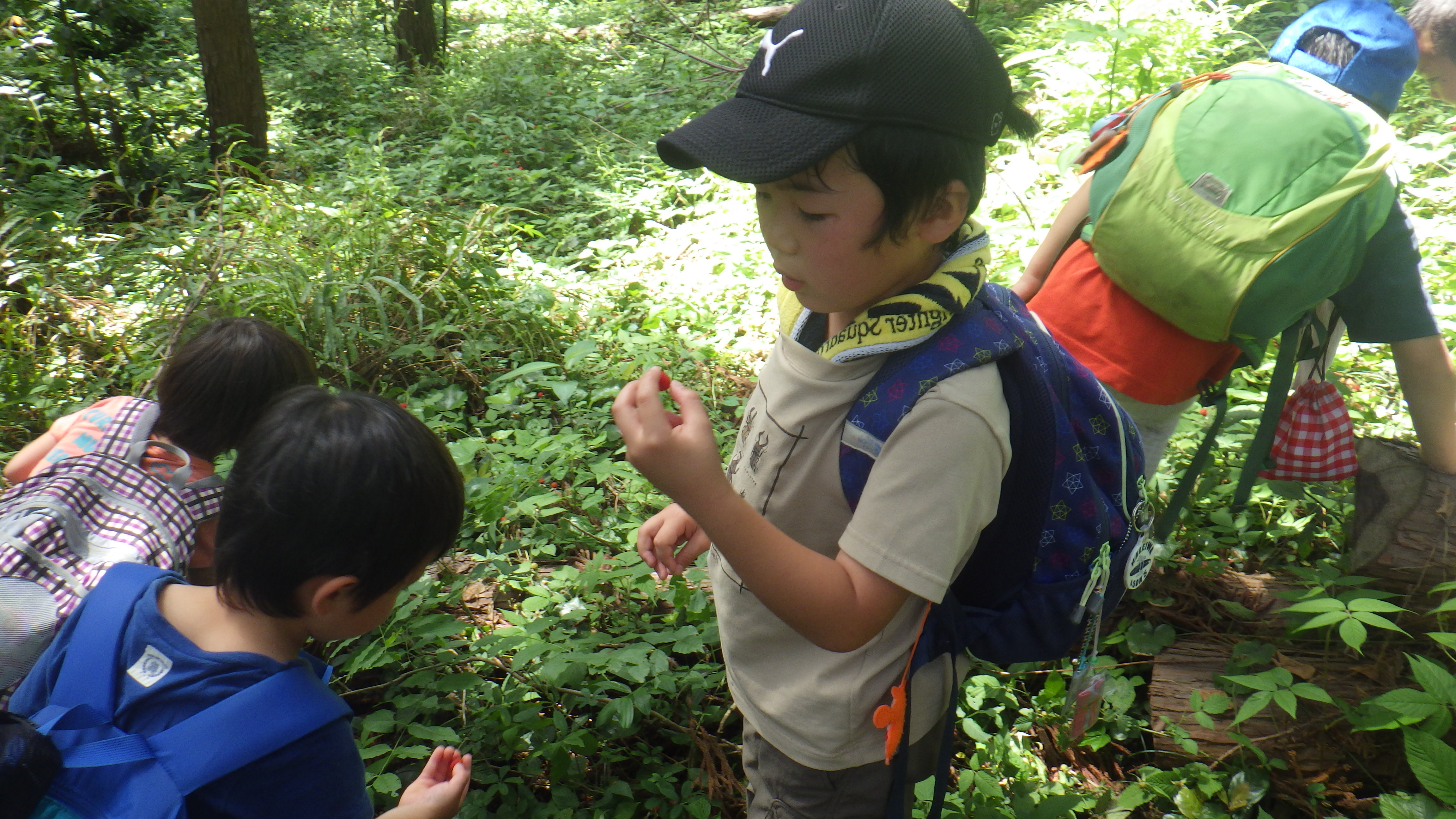 登山の様子　７.JPG