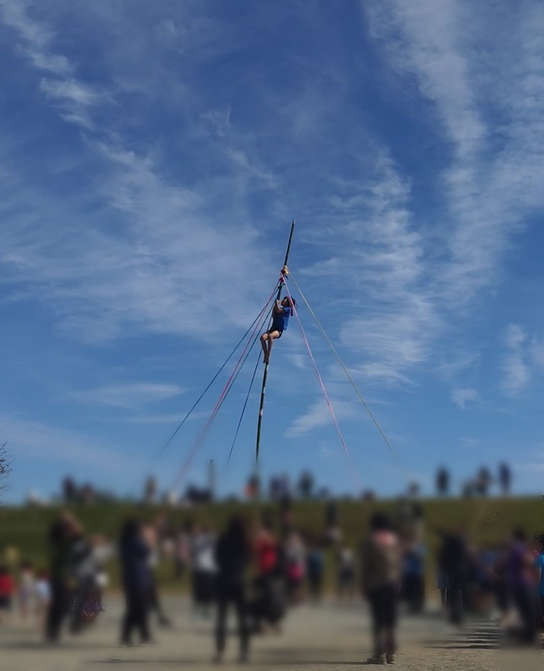運動会　竹登り.jpg