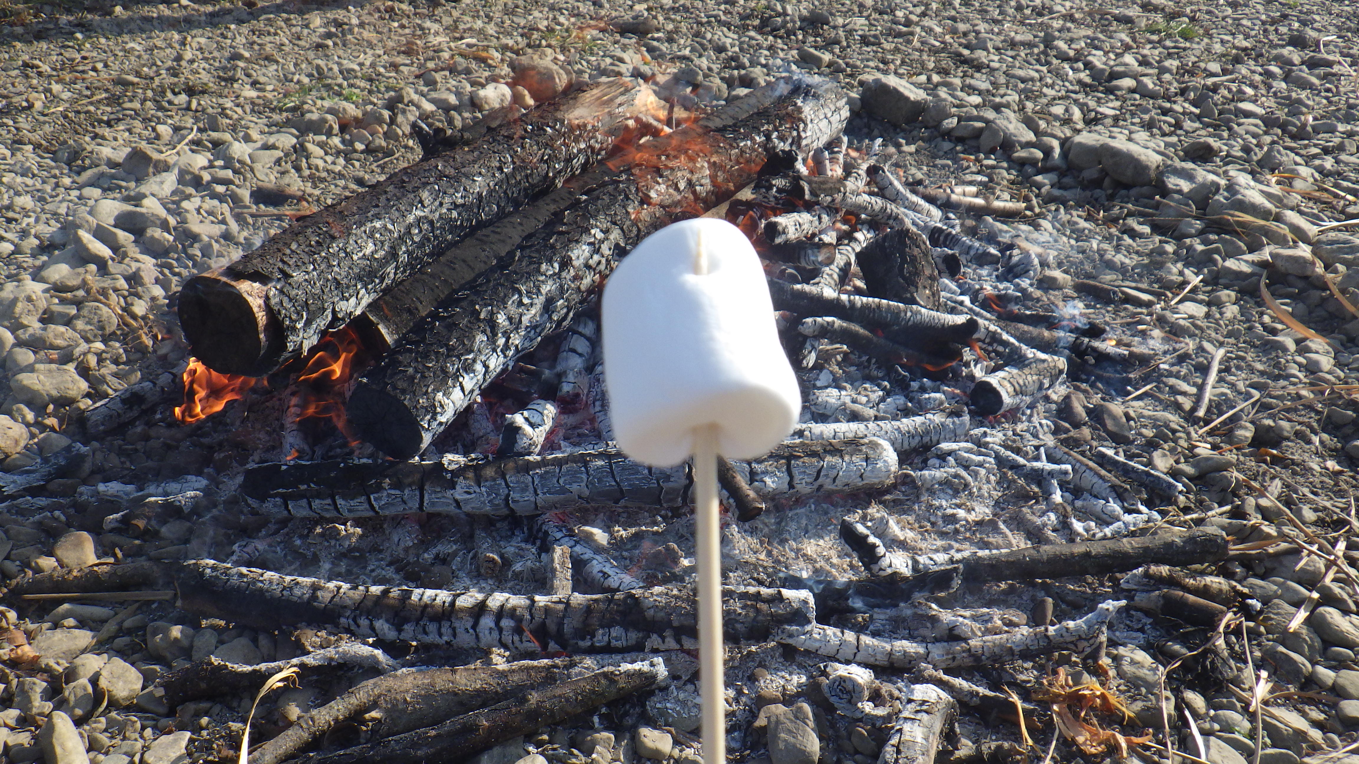 焼き芋１.JPG