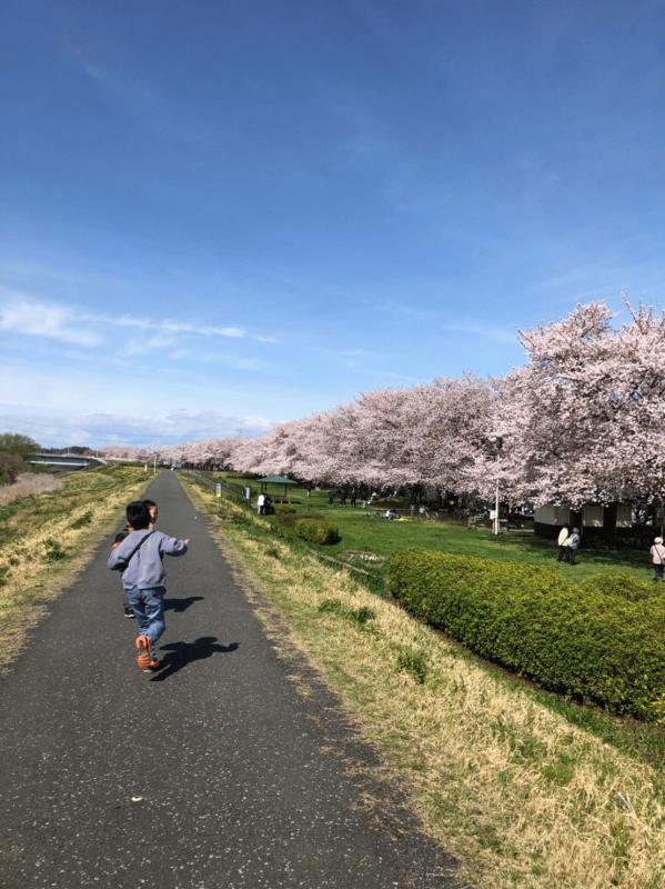 土手追いかけっこ.jpgのサムネイル画像