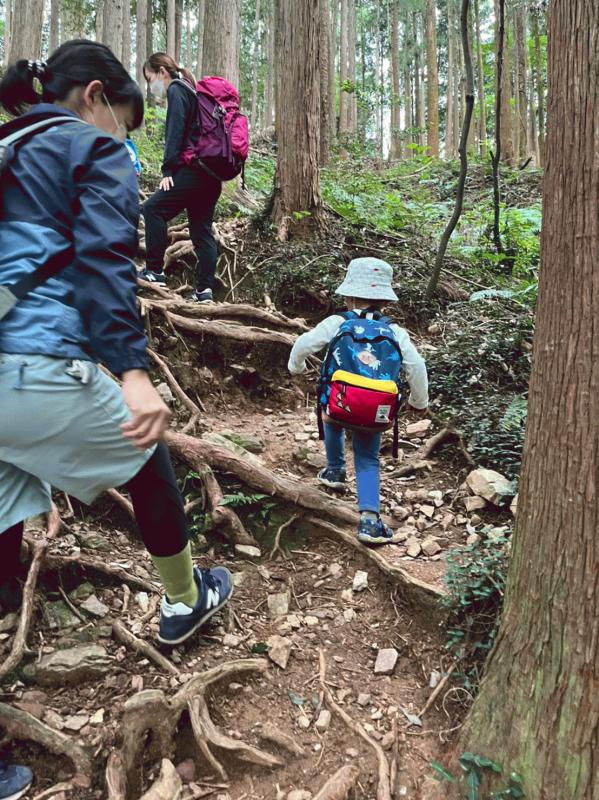 山　根っこ