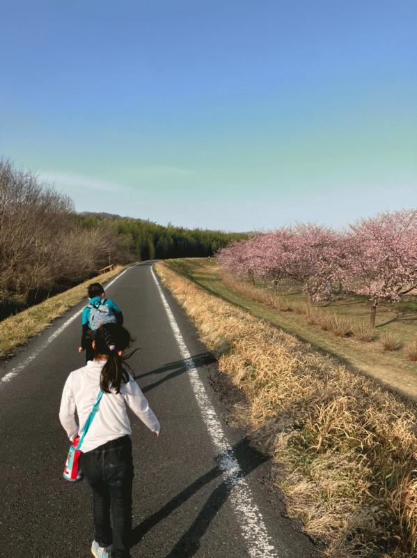 LINE_ALBUM_ぽんて　桜_230315_0.jpg